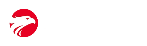 Wizard